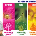 Prim. d-r Sonja Petrovska-SEZONSKI ALERGII