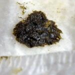 mekonium (2)