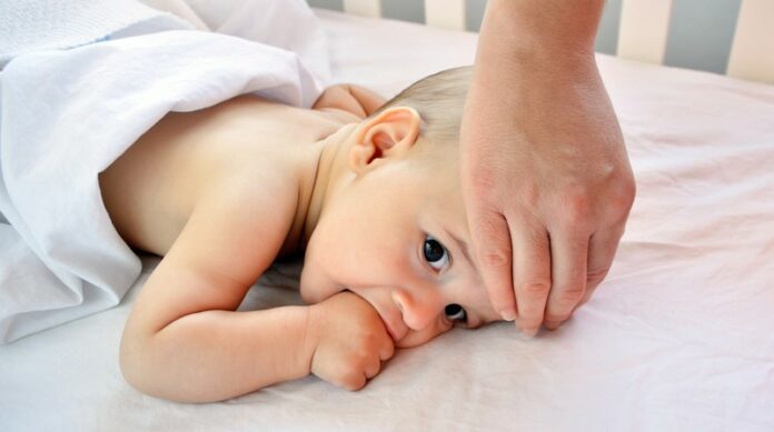 Meningitis-deca (6)