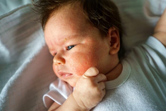 bebe-osip2