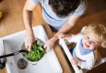 НЕДОСТИГ НА ВИТАМИНИ И МИНЕРАЛИ КАЈ ДЕЦАТА: Кога е време за реакција, а не за додатоци во исхраната