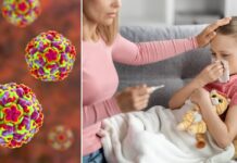 Риновирусот е причинител на обичната настинка, но еве кога станува опасен за децата