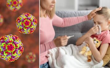 Риновирусот е причинител на обичната настинка, но еве кога станува опасен за децата