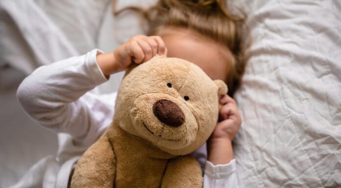 Зошто сè повеќе возрасни спијат со плишани играчки? Психолозите велат – тоа е сосема нормално
